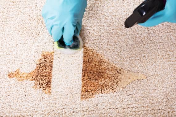 Pure Gleam Housecleaning Services