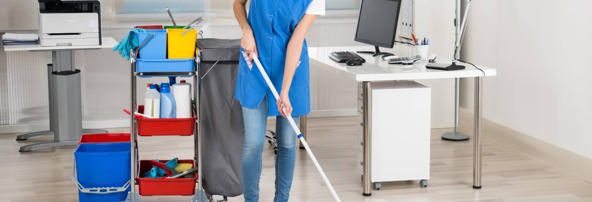Pure Gleam Housecleaning Services