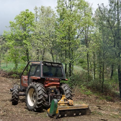Land Clearing Service