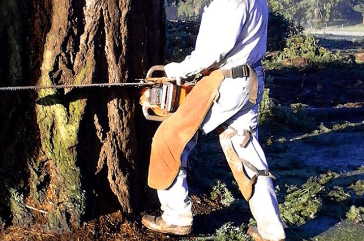 Bob's Timber Cutting Corp.