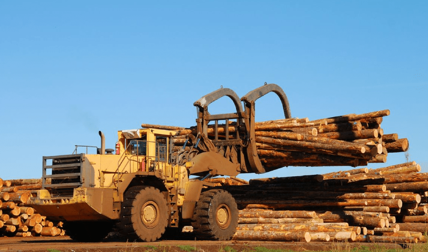 Bob's Timber Cutting Corp.