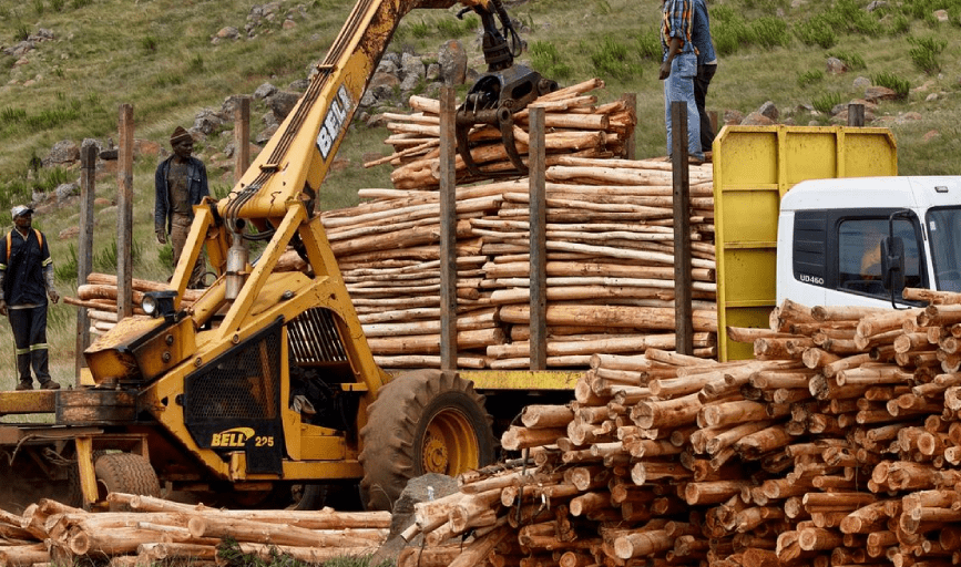 Bob's Timber Cutting Corp.