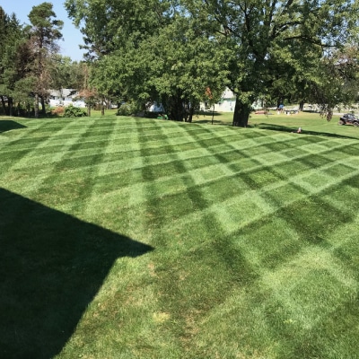 LAWN CARE SERVICE