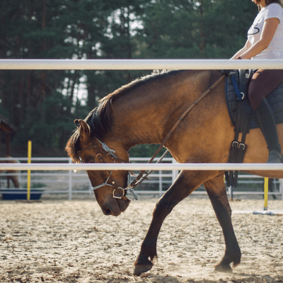HORSE RIDING LESSONS