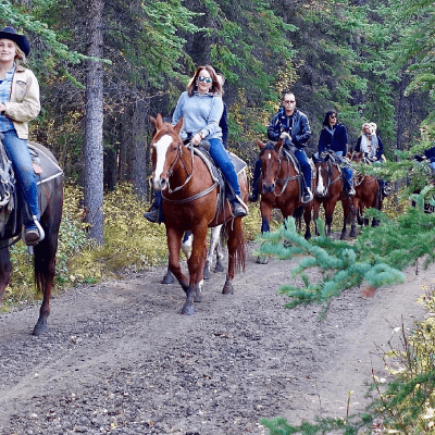HORSE RIDERS ACCOMMODATIONS