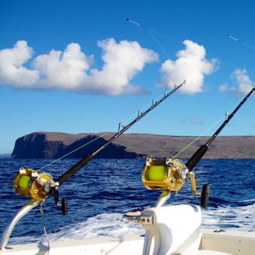 Fishing License