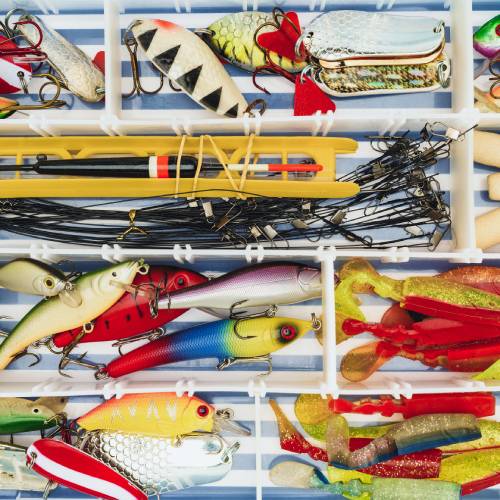 Fishing Bait