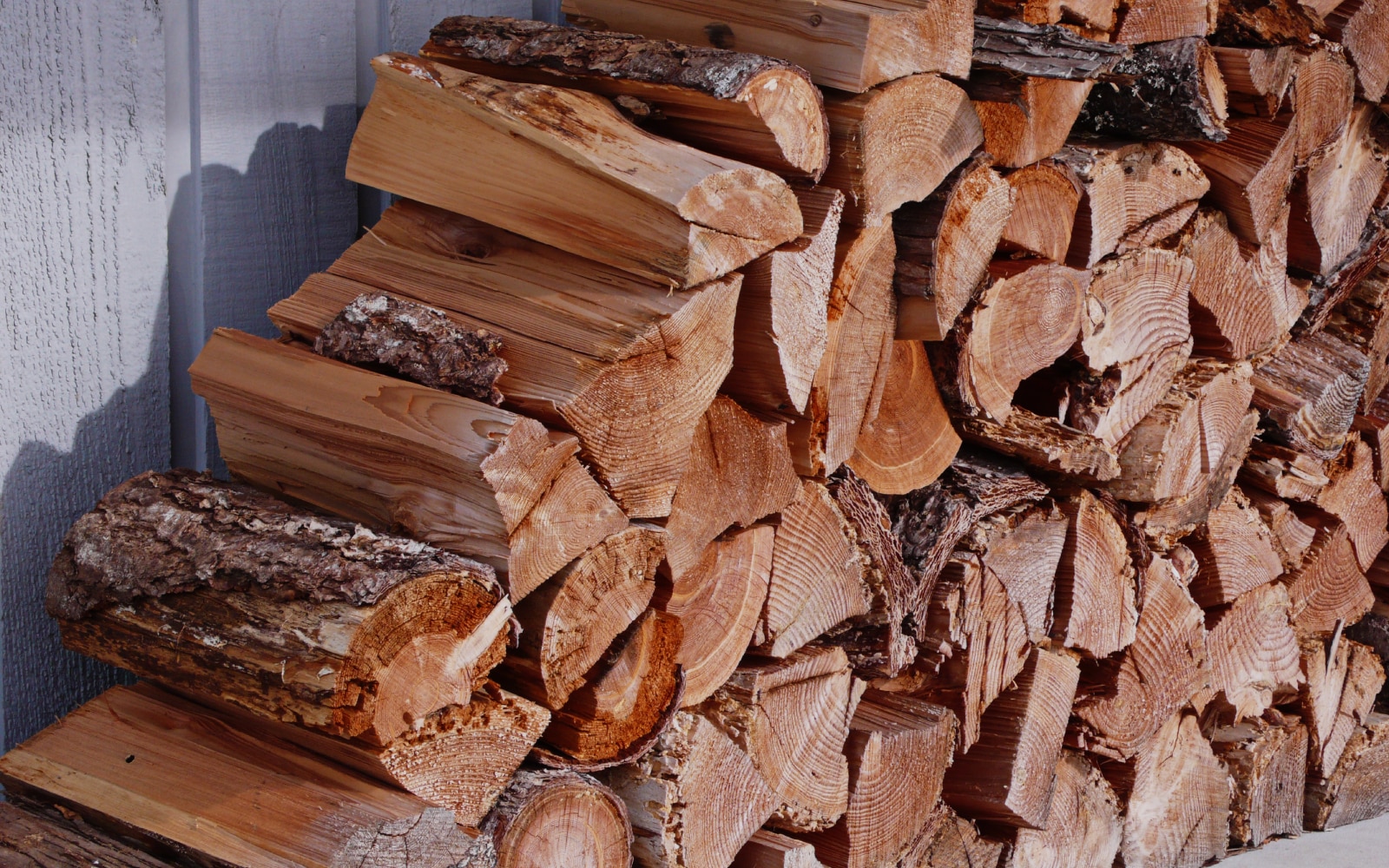 Firewood