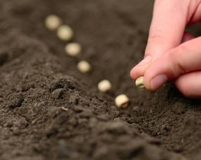 LAND SEEDING SERVICES