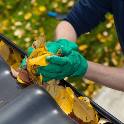 GUTTER CLEANING