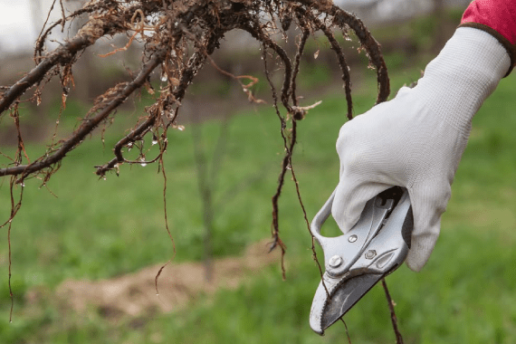 Yovanys Construction LLC