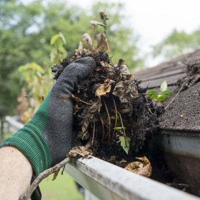 GUTTER CLEANING