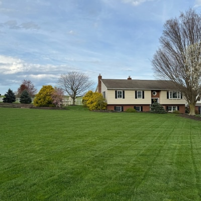 LAWN PEST AND WEED CONTROL