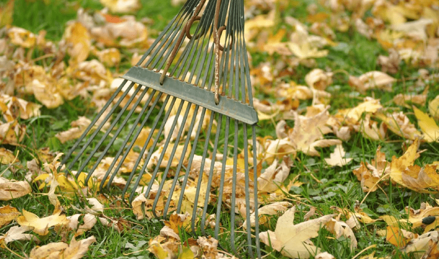 CRG Crawl Space Foundation, Encapsulation and Pressuring Washing