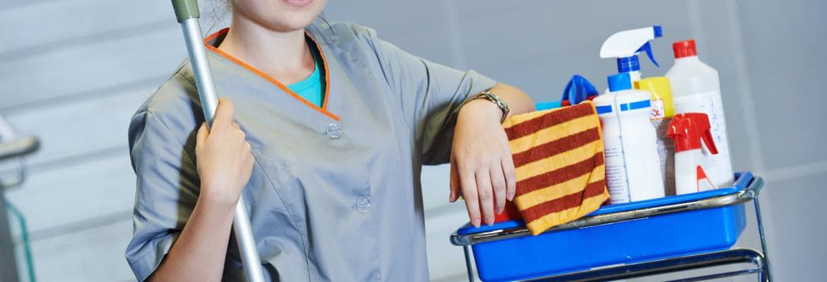 Fam Cleaning Services