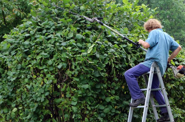 Balbinos Lawncare And Planting