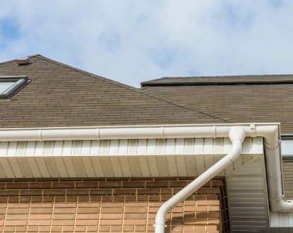 RESIDENTIAL GUTTER CLEANING