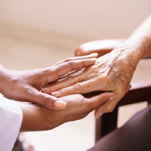 Home Care Assistance