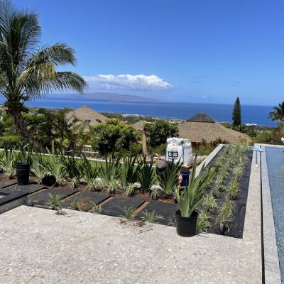 COMMERCIAL LANDSCAPING