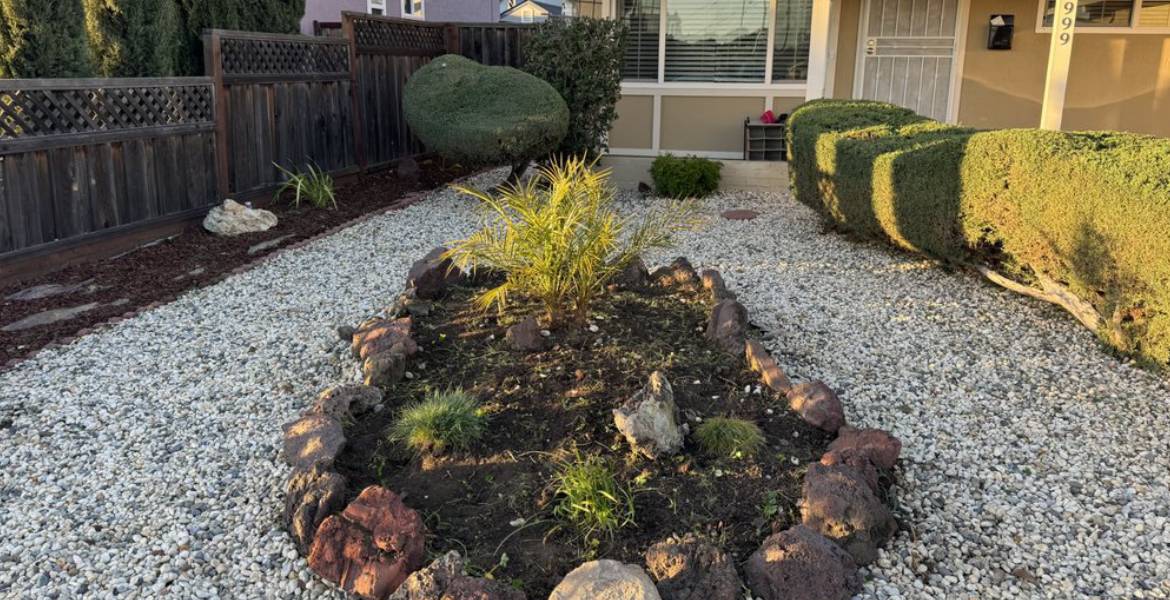 Eben Ezer Best Garden & Landscaping Services