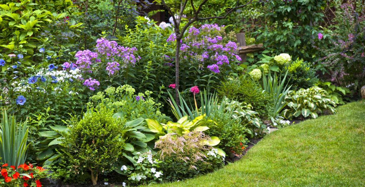 Eben Ezer Best Garden & Landscaping Services