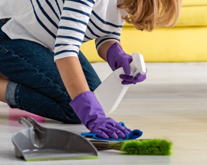 HOME CLEANING SERVICES