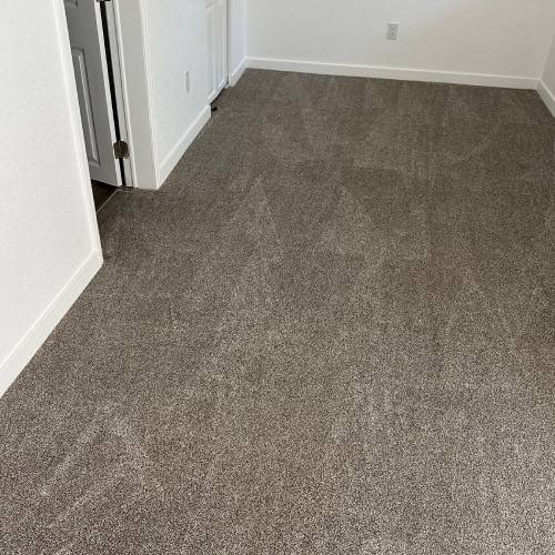 Carpet Cleaning