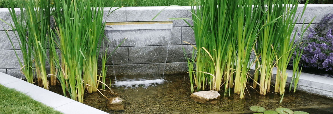 Damian's Landscaping