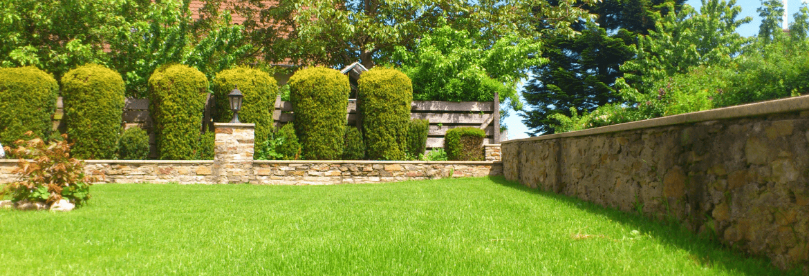 Damian's Landscaping