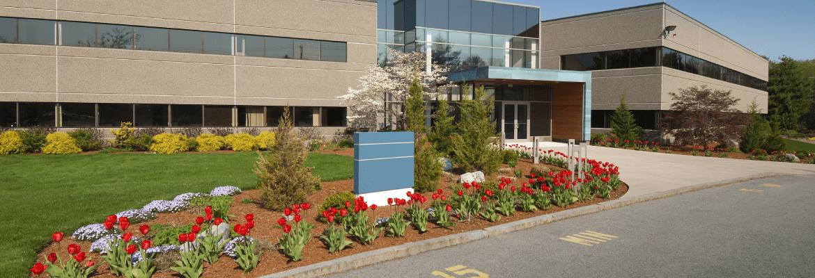 Damian's Landscaping