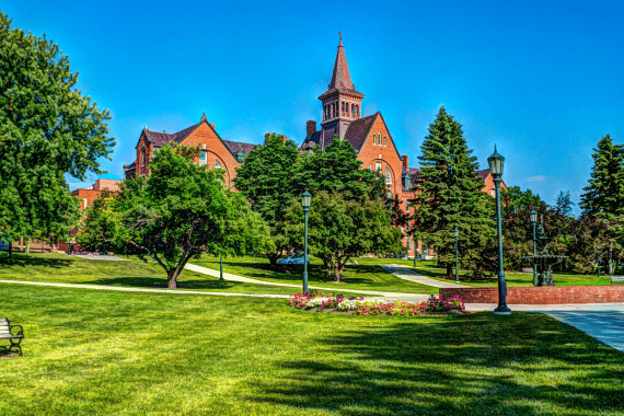 Damian's Landscaping