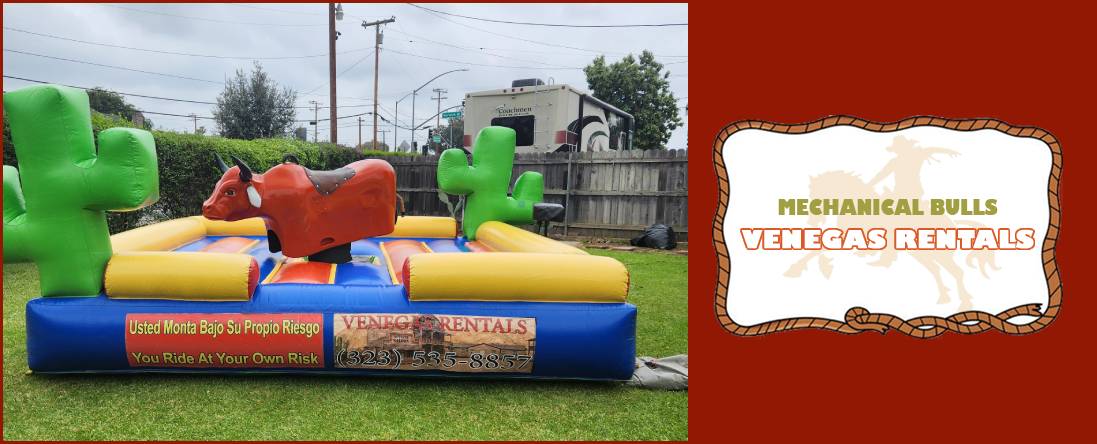Mechanical Bulls