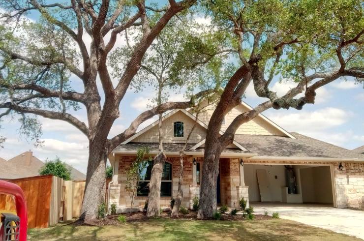 Ortiz Brothers Tree Service