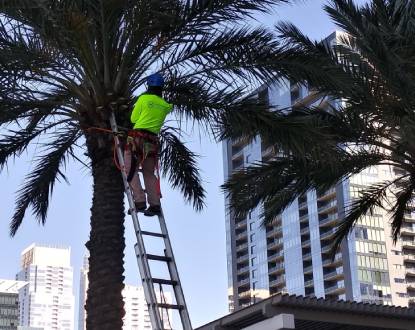 COMMERCIAL TREE SERVICE