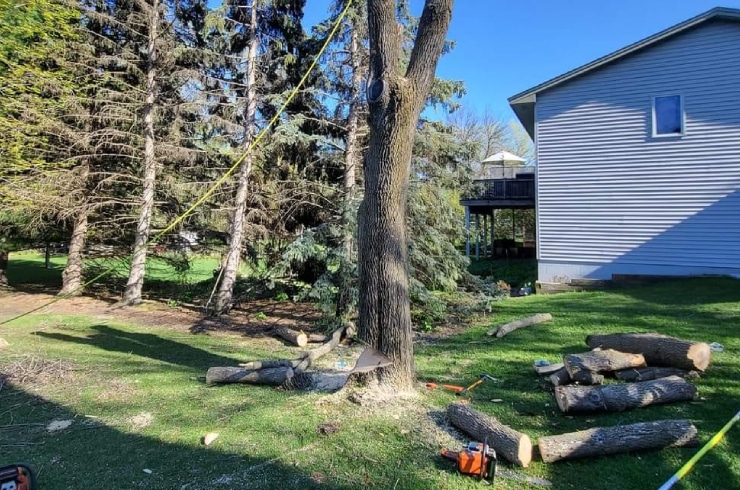 Higgins Construction Services