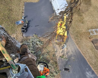 EMERGENCY TREE REMOVAL