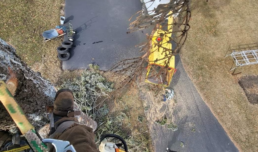 Higgins Construction Services