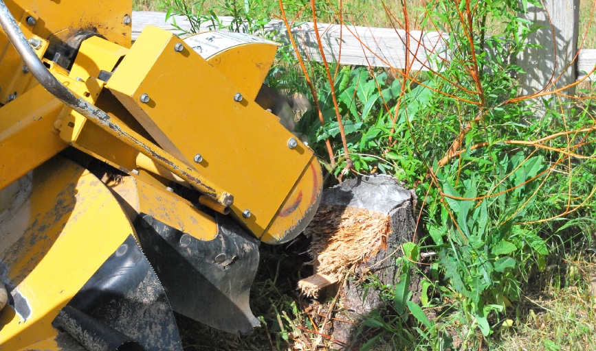 Higgins Construction Services