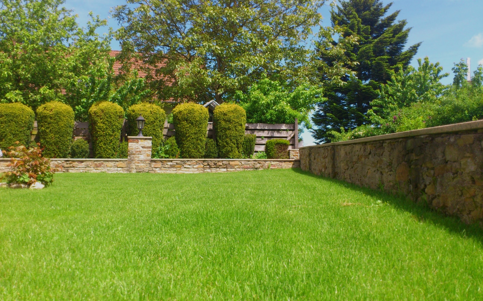 Landscape Design Consultation