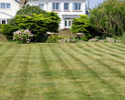 LAWN MOWING SERVICES