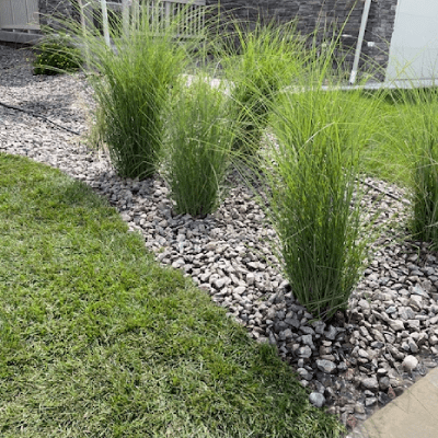 PLANT INSTALLATIONS