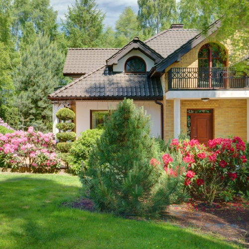 Landscaping Services