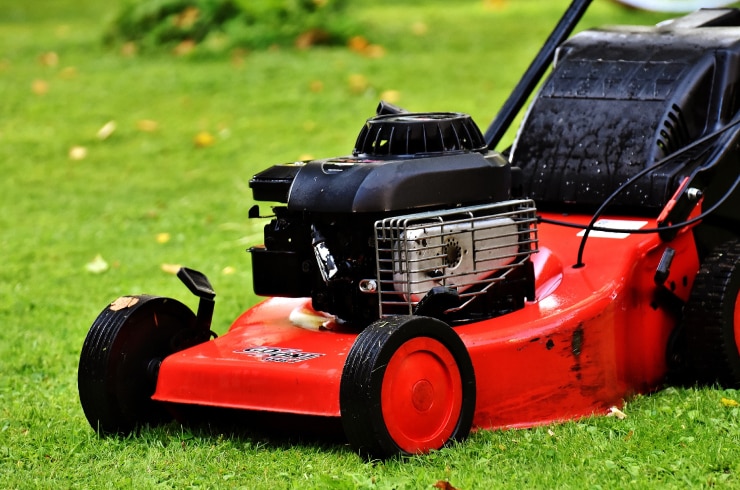 Wild Wings Lawn Care and Chore Services