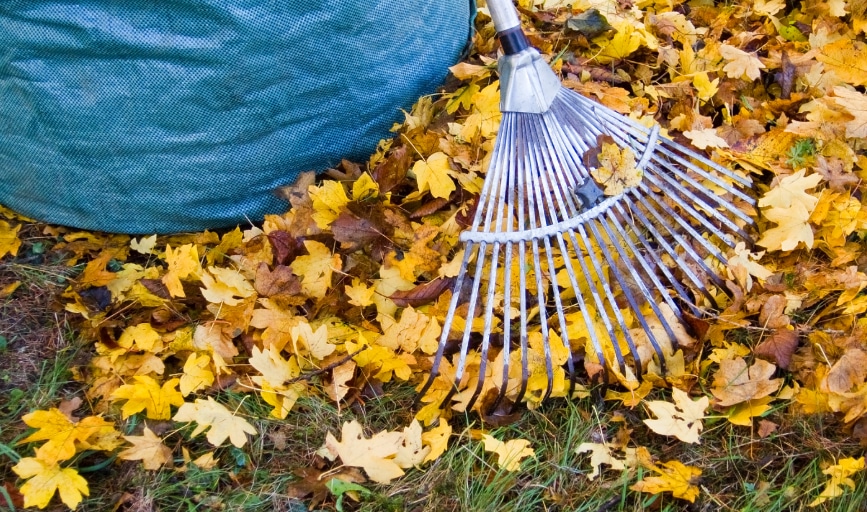Wild Wings Lawn Care and Chore Services