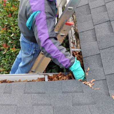 GUTTER CLEANING