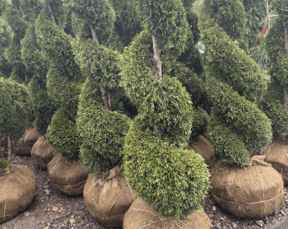 RESIDENTIAL LANDSCAPING SERVICES