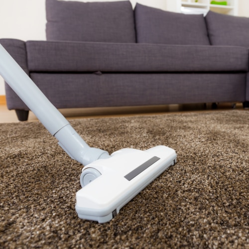 Move Out Cleaning Services