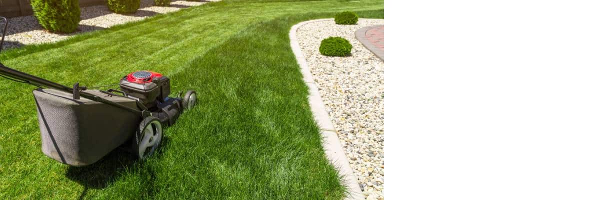 Lawn Care