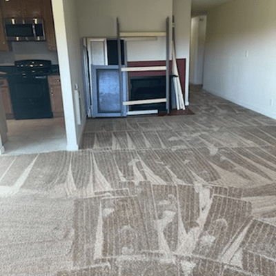 Carpet Cleaning