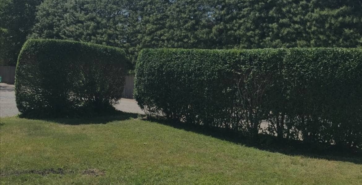 R Santos Landscaping Corp